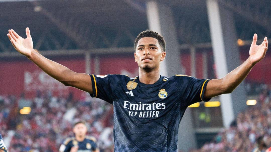 迅速赢得了 迅速赢得了